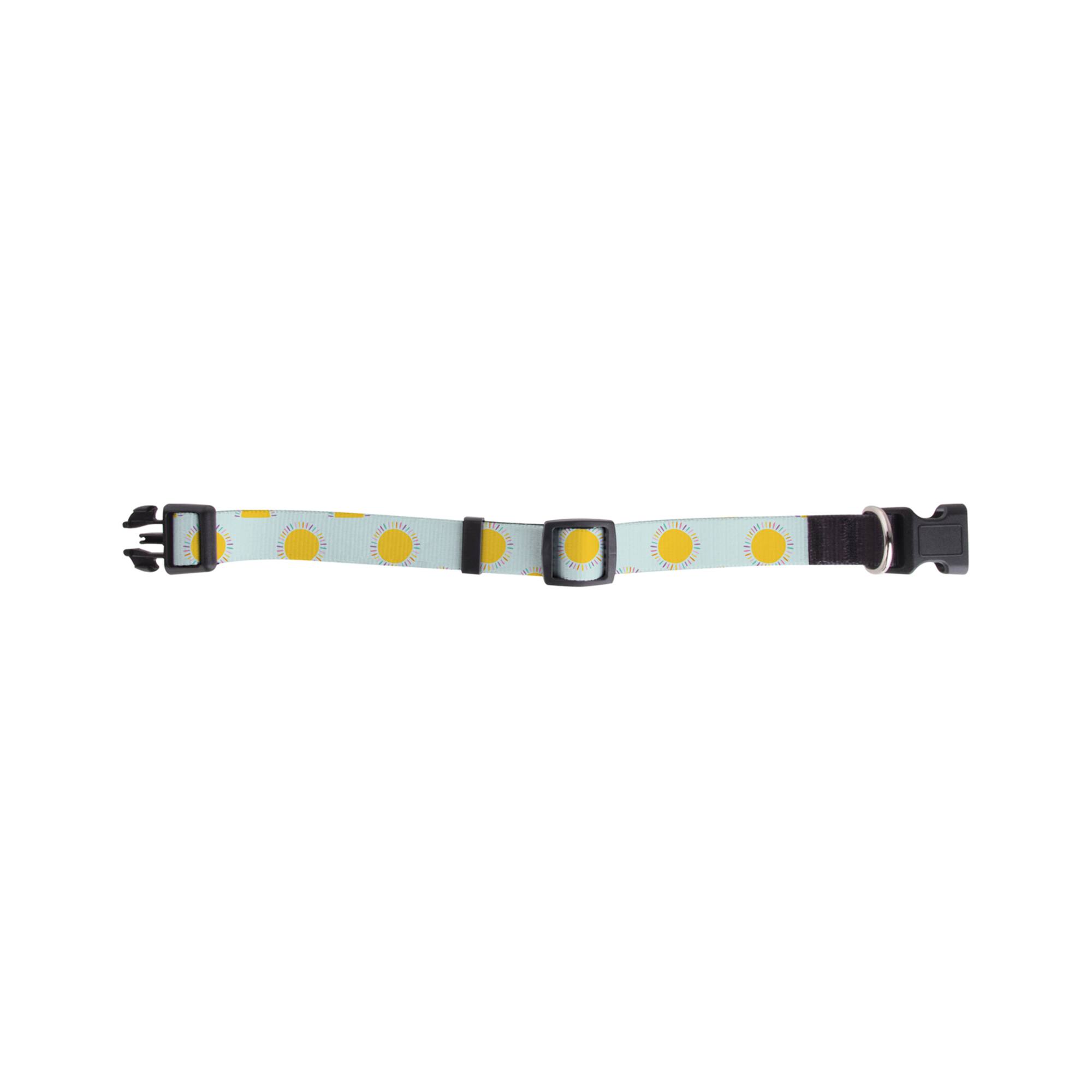 Craft Express 4ct. Sublimation Dog Collars
